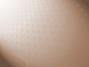 语音助手